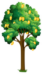 Yellow mango tree isolated on white background