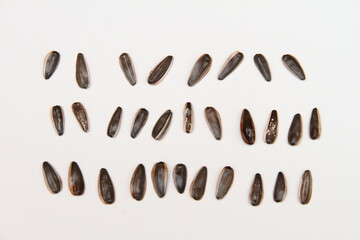 ヒマワリの種10