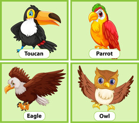 Educational English word card of birds set