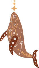 Vector illustration with mystical, celestial beige  whale in boho style, decorated stars and constellation