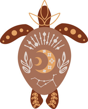 Vector illustration with mystical, celestial beige sea turtle in boho style, decorated stars, constellation, moons, leaves