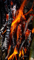 burning embers of the fire