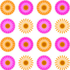 Seamless pattern with vector illustrations of flowers.  
   set of flowers.