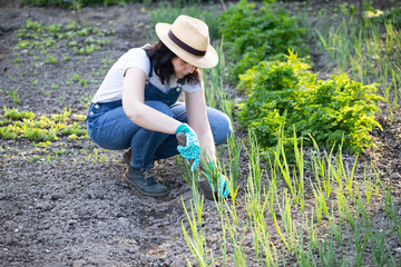 Closeup photo of woman digging out onion with spade