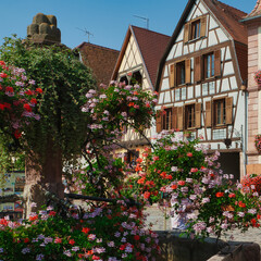 Amazing village in the Alsace province
