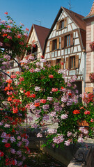 Fototapeta na wymiar Amazing village in the Alsace province