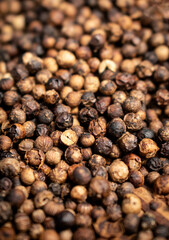 close-up of kampot pepper peppercorns drying in cambodia