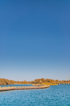 Populus euphratica forest by the lake in Xinjiang, China in autumn