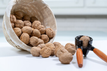 ripe walnuts and iron nutcracker close up