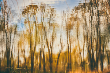 Reflection of trees in water. Autumn art landscape.