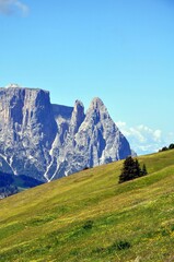 Fototapeta premium Seiseralm in den Dolomiten