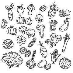 Cute vegetable black line doodle with white background, carrot, radish, salad, corn and mushrooms 
