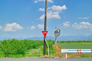 夏の田舎の風景（山形）
