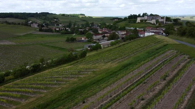 AERIAL VIEW CHARENTES, REGION OF COGNAC, VINEYARDS OF COGNAC NEAR BOUTEVILLE, REGION OF GREAT CHAMPAGNE FOR THE COGNAC APPELLATION, THE VILLAGE OF BOUTEVILLE, ITS CHATEAU AND ITS ROMAN CHURCH