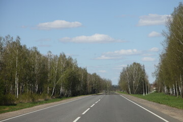 Beautiful endless empty asphalted two way highway road with birch trees forest on roadsides perspective view from car, European travel landscape at Sunny spring day on blue sky background