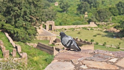Bhangarh fort the most haunted fort in rajasthan,india,asia