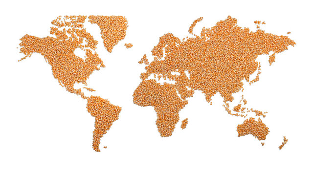 トウモロコシで描かれた世界地図