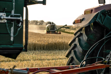 Teil eines Traktors mit Anhänger mit Sicht auf einen Mähdrescher im Feld