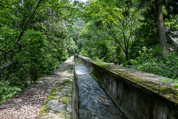 Fototapeta premium 京都南禅寺の赤レンガの水路閣（京都府京都市）