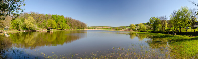 Obraz premium lake in the forest