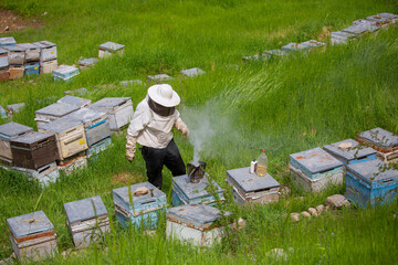 Turkıs name aricilik, Close-up of a beekeeper holding a honeycomb full of bees. Beekeeping.