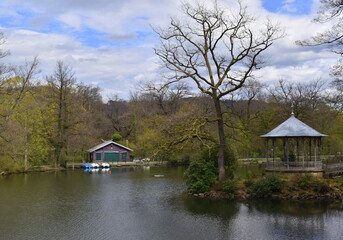 Obraz premium Waldsee in Freiburg im Frühjahr