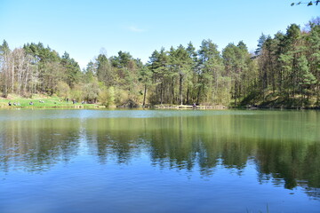 Zielony Staw, Rezerwat Przyrody, Obszar Natura 2000, Gmina Klucze, © Albin Marciniak