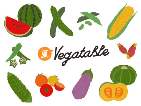 夏野菜のイラスト　セット
