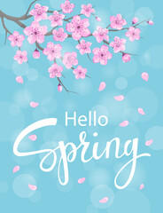hello spring vertical background with cherry blossoms flowers branches on blue backdrop with bokeh