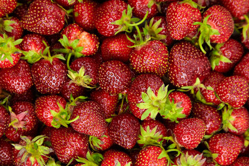Strawberry red berries background top view