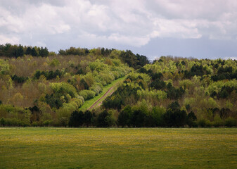 landscape view to a hillside track between colored trees and a cloudy sky