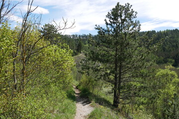 Wanderpfad im Frühjahr