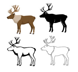 reindeer animal set in color, silhouette, contour and stroke