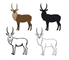 African animal waterbuck  in color, silhouette, contour and editable stroke