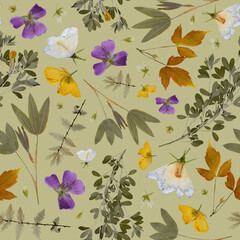 Floral seamless pattern in collage technique. Pressed flowers and plants on light green background. Herbarium.
