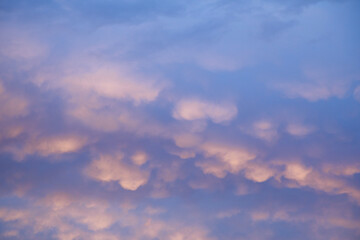 Pink vanilla heaven. Bright evening sky with puffy clouds