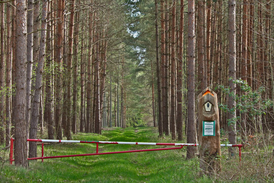 Waldweg gesperrt mit einer Schranke