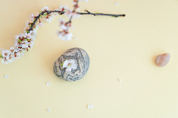 Beautiful nature background with stone and flowers