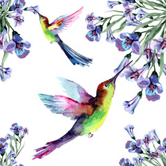 Seamless pattern with flowering branches and hummingbird tropical bird. Flying bird and blue lavender flowers. Hand-drawn watercolor on a white background for fabric, packaging, wallpaper, textiles.