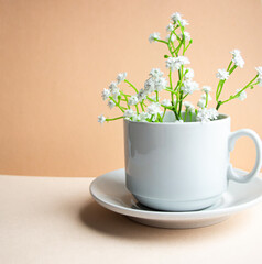 Gypsophila. White cup for coffee or tea. White flowers. Light background.