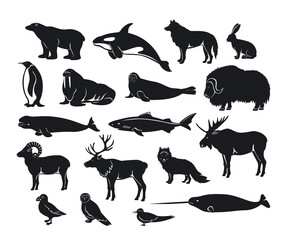 Arctic animals Silhouette collection with reindeer, orca, narwhal, shark, musk ox, fox, wold, puffin, tern, moose, walrus, penguin, beluga whale, hare, polar bear, harp seal, dall sheep, snowy owl