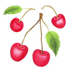 Watercolor Illustration Hand Painted Food Red Cherry Berries Clipart 