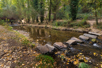 Landscape in the Eresma River, near Segovia. Spain.