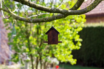 A closeup portrait of a wooden bird feeder house hanging below a walnut tree on a sunny day. The...