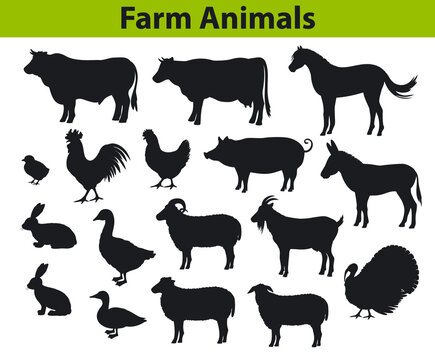 farm animals silhouettes set with cow, horse, bull, sheep, goat, donkey, duck, turkey, rabbit, hen, chicken