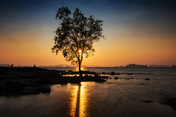 Fototapeta na wymiar SIlhouette people and tree seascape at sunset