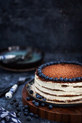 Delicious homemade sour cream vanilla cake decorated with chocolate and fresh blueberry