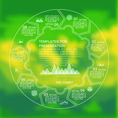 Template for cycle diagram and pie chart, steps or processes