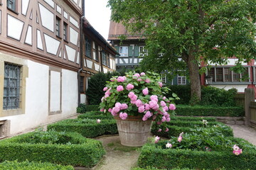 Fototapeta na wymiar Garten in Bietigheim-Bissingen