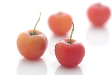 cherries on a white background